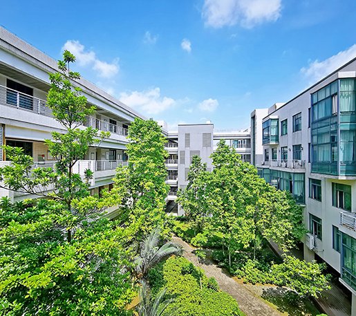 盛夏砺志